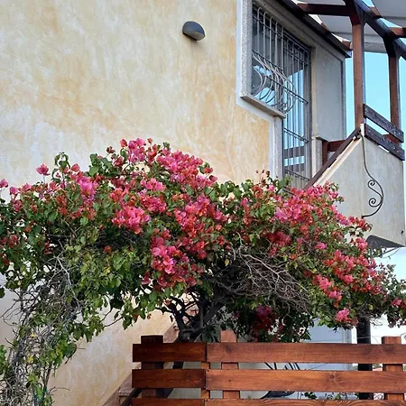 Sardegna Pittulongu Apartmán *