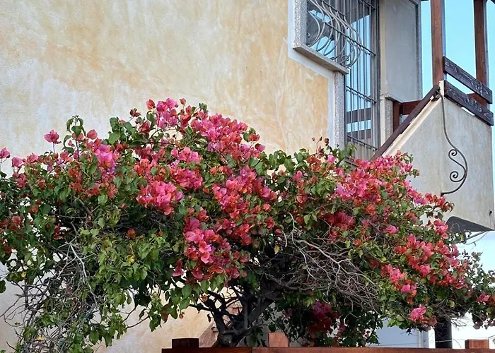 Sardegna Pittulongu Apartman *